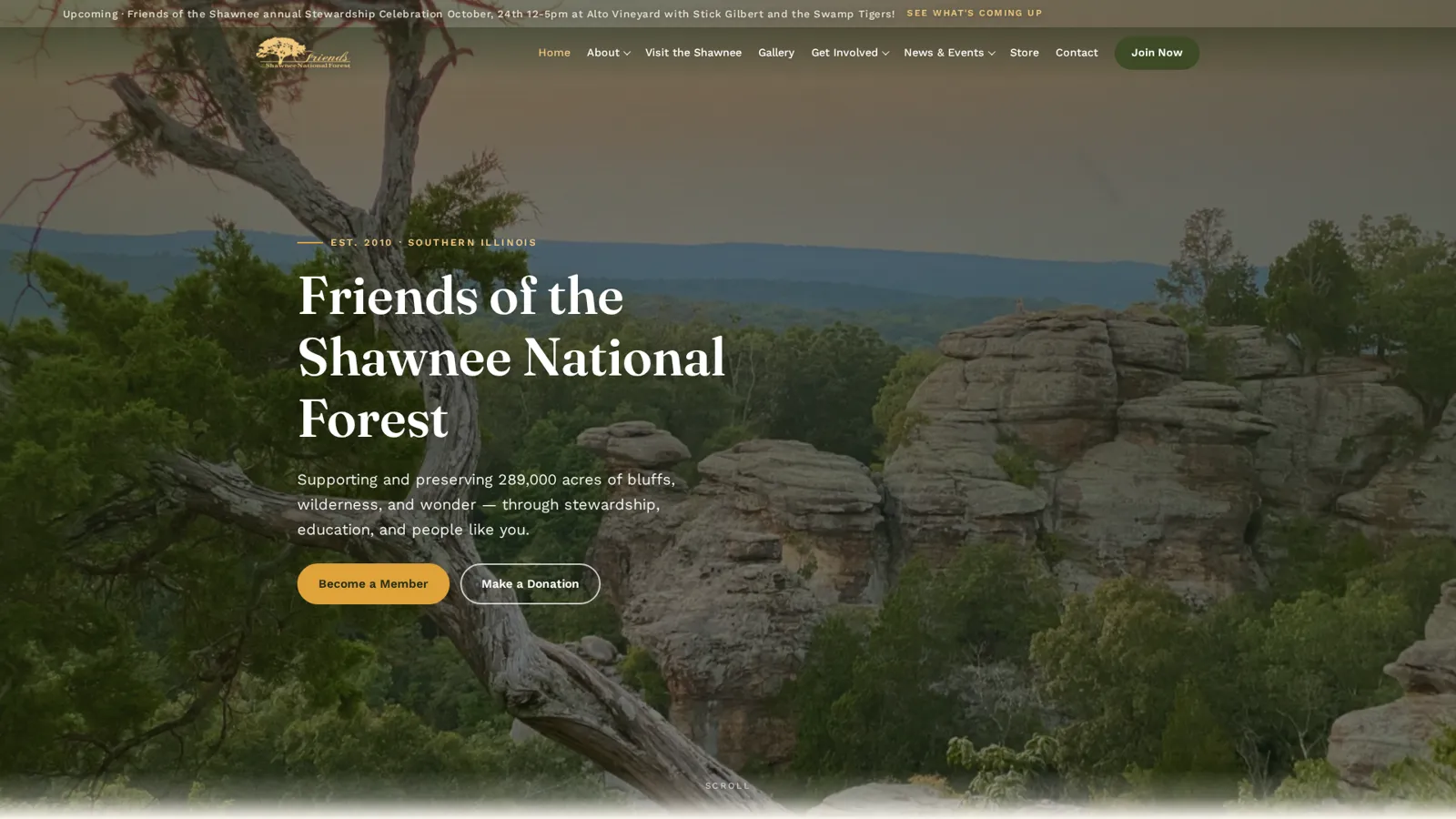 Desktop view of a nonprofit site