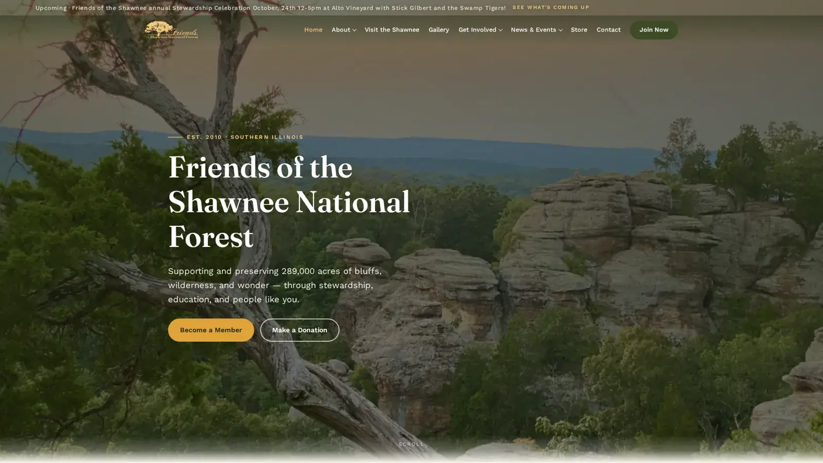Desktop view of a nonprofit site