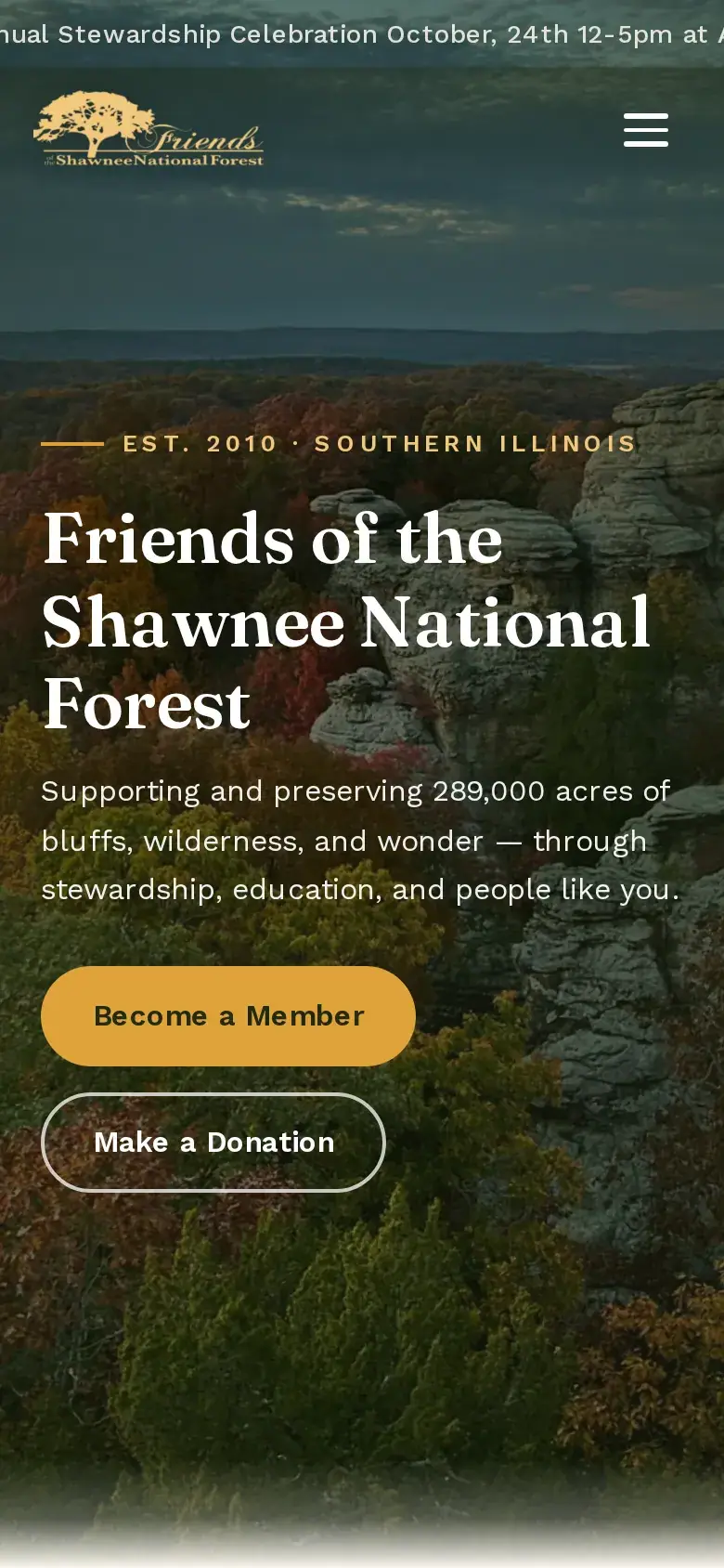 Phone view of a nonprofit site