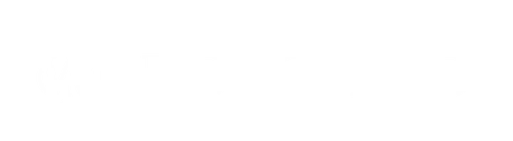 Wild Card
